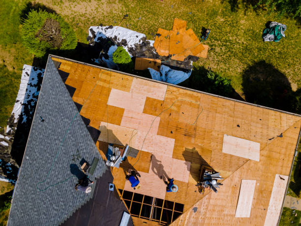 Best Roof Gutter Cleaning  in Salem, SD