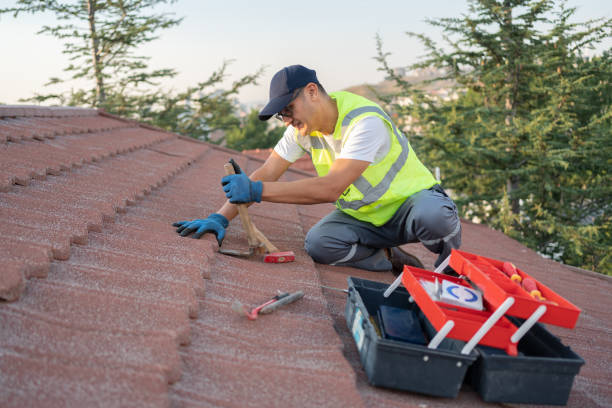 Best Roof Replacement Cost  in Salem, SD